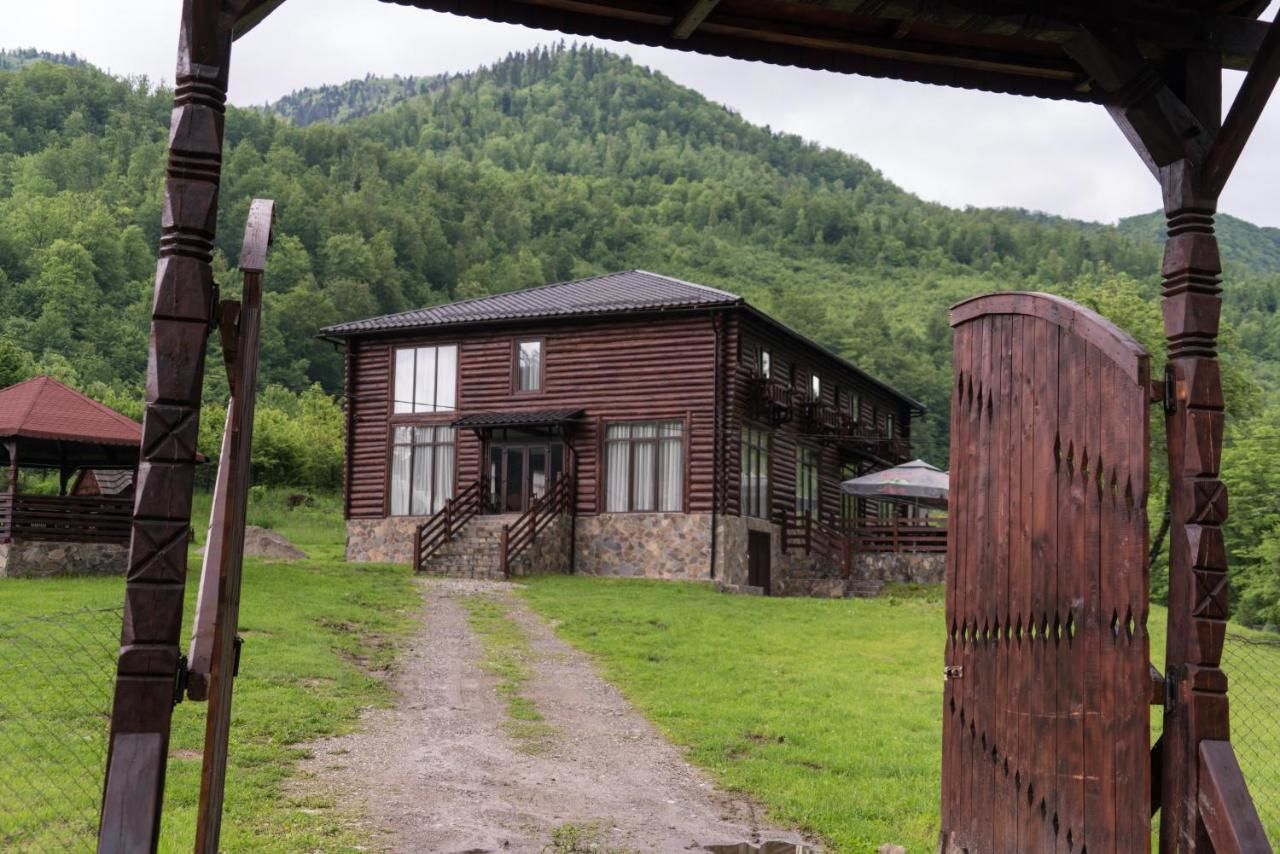 Гостевой дом Pensiunea Roxana Valea Vişeului-4